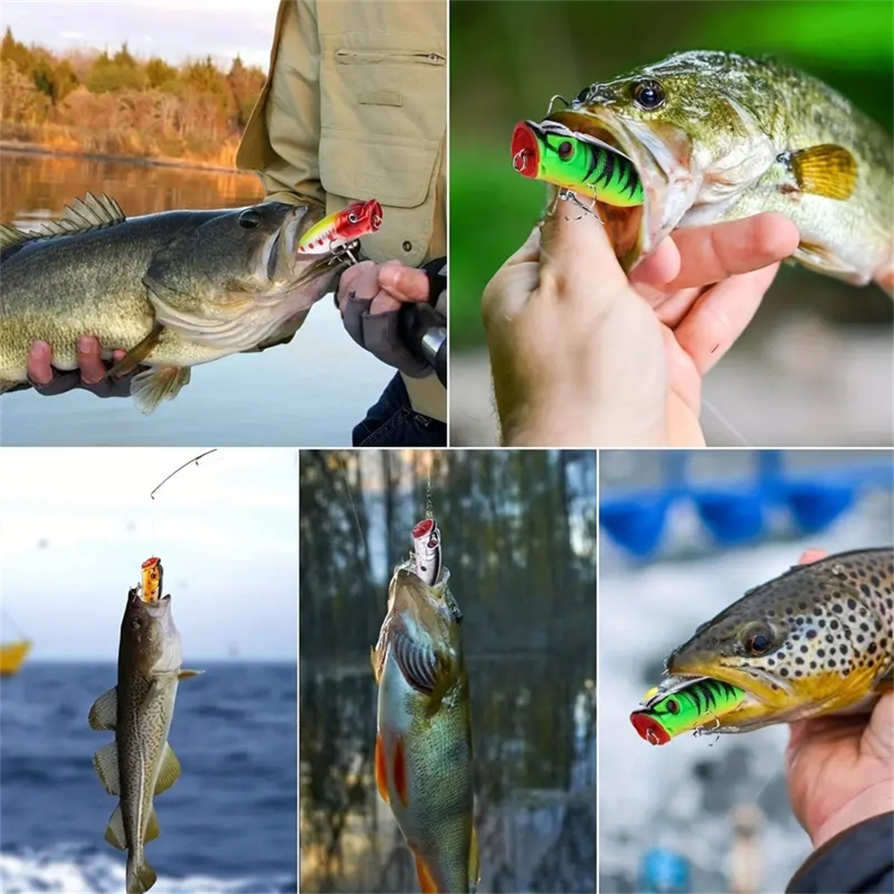 5 قطع بوبر الصيد السحر عيون ثل - مراجعة Fishing Lure Popper وسعره