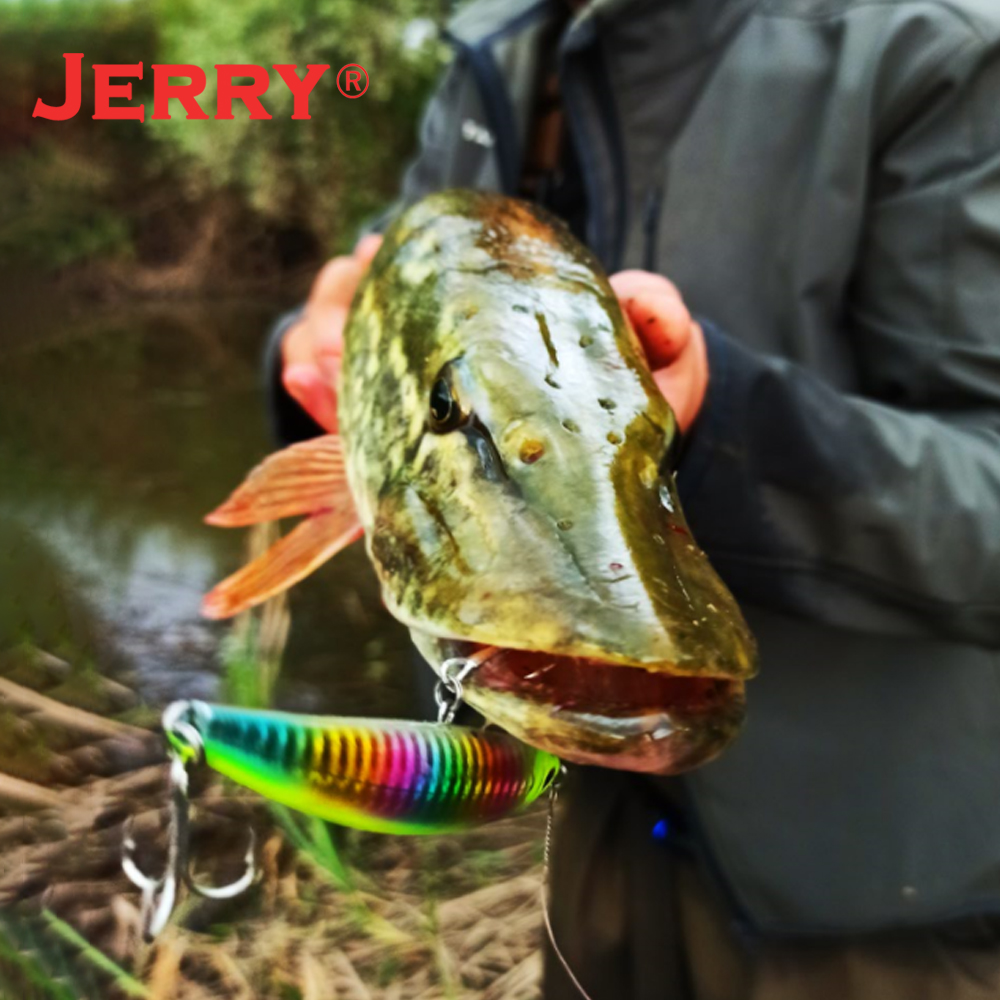 إغراء الصيد في المياه العذبة ، - مراجعة Fishing Lure Jerkbait وسعره